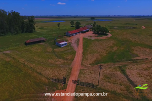 800 Hectares.00_06_44_08.Quadro029_499cde5bbadd7d13c3132ca2a8b56117f253fda2.png